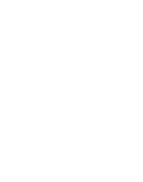 Arsagezgini